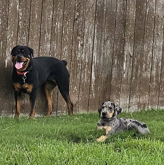 Meet your Posher, Angie - Picture 1 of 1